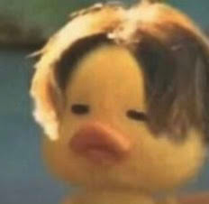 A duck